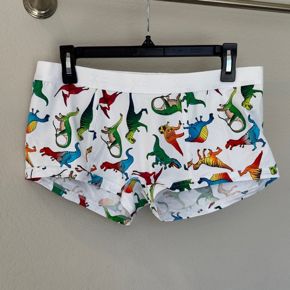 TomboyX Colorful Dinosaur Print Boyshorts